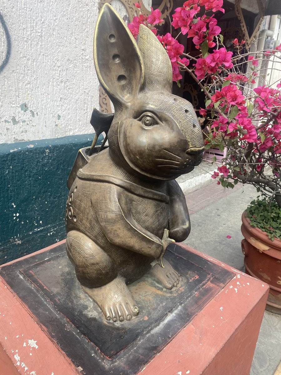 Salté tanto traté de llegar que olvidé cuál era mi meta. #rabbit