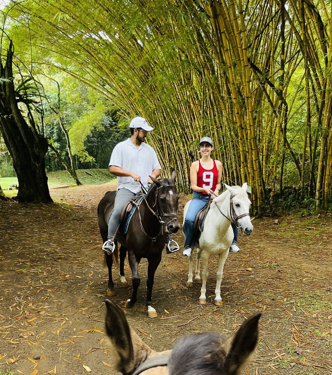 A relaxing stroll along Río Meléndez by bamboo trees in tropical Cali weather 🇨🇴