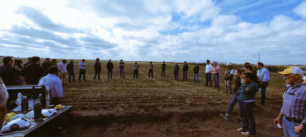 Mati_flores22's tweet photo. Excente mañana de intercambio técnico!!  #creasudestepolosur @gtherisod gracias por la invitación
📍Ayacucho 
#híbridos🌻 #nutrición🍚 #fungicidas 🍄 Miravis Duo  #insecticias 🐛 Ampligo junto a los chicos de NK a puro sinergismo 💣💯
@lucas_ratto
@Nikolas1975
@Luislopezlima https://t.co/CelvawCGwg