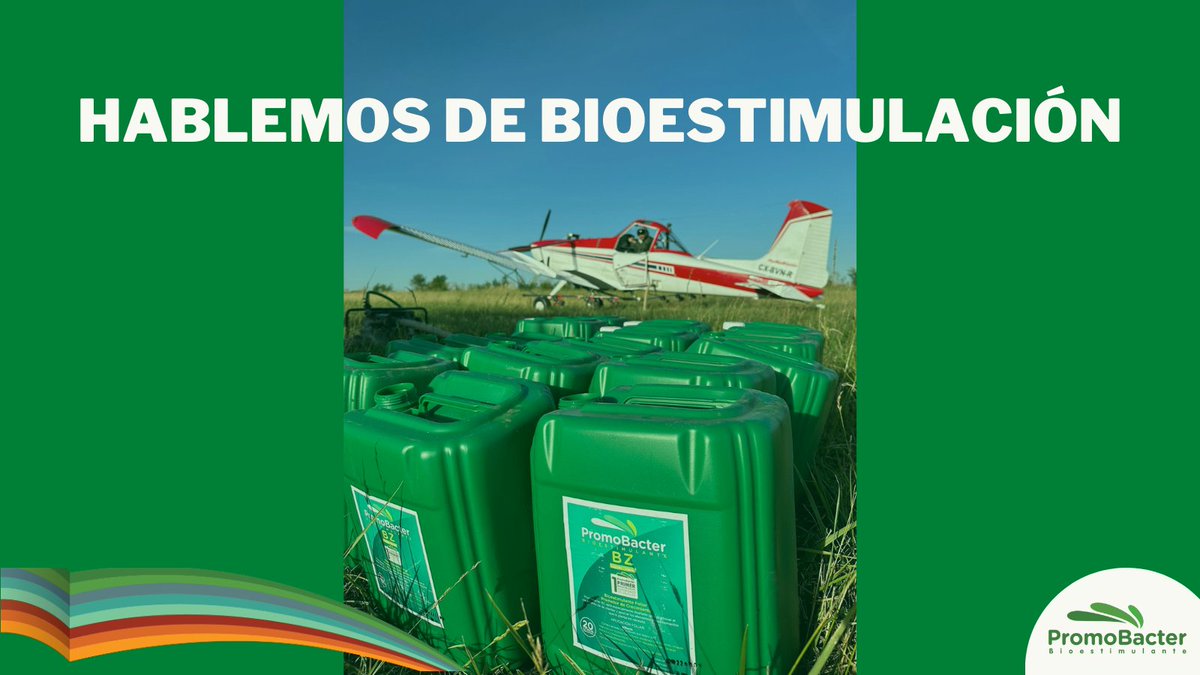 promobacter's tweet photo. La bioestimulación es una técnica de promoción de crecimiento por vía foliar y genera en las plantas una respuesta a un estímulo favorable, independientemente del ambiente y su estado fisiológico. PromoBacter obliga a las plantas a realizar acciones que por sí solas no harían💪 https://t.co/DP0OsVCVUt