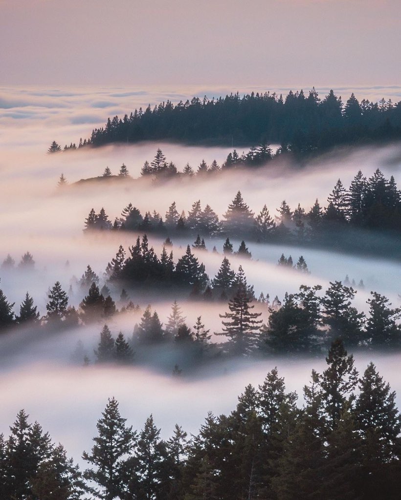 The spot Vs the shots