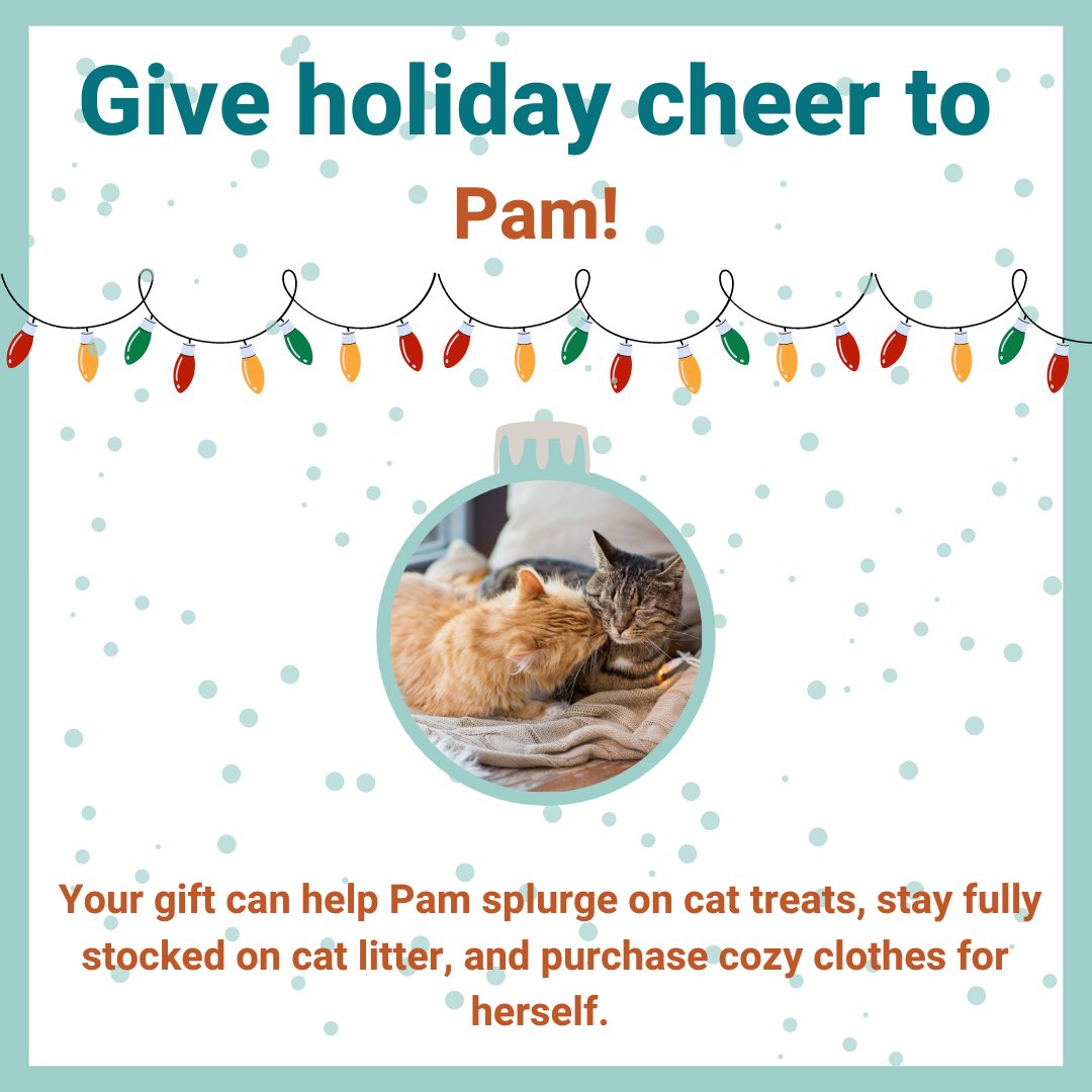 familyeldercare's tweet photo. A gift to Holiday Giving Drive brings great comfort to animal lovers who stress about caring about their animal companions we serve this holiday season. Visit https://t.co/ur0RXfFIgN to learn more about Pam and her 2 cats, Slim and Sweet Pea. #HolidayGivingDrive https://t.co/uTurWAhCJh