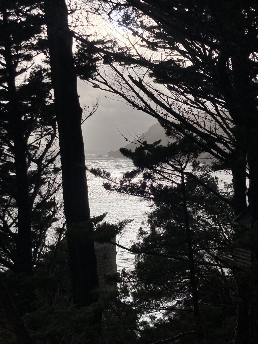 John Jefferies tweet media