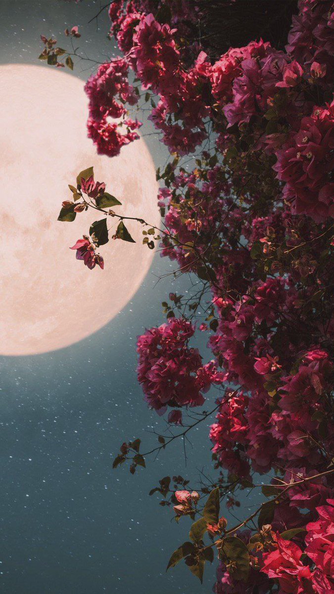 ذي يزن الخطيب tweet media