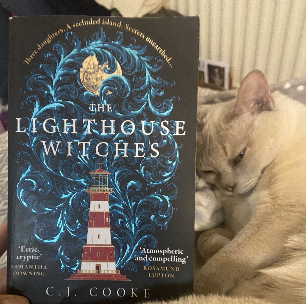 If you would like me to send you this, let me know. *witchy cat not included but chocolate might be… The usual: like, share, follow (only if you want to).