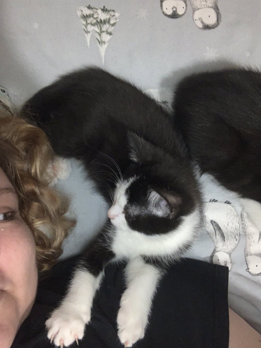 Racheltimlin1's tweet photo. Ever feel like your being watched 😂 https://t.co/FIjoUaPIez