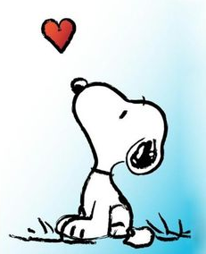 💙💛🙏God bless America tweet media