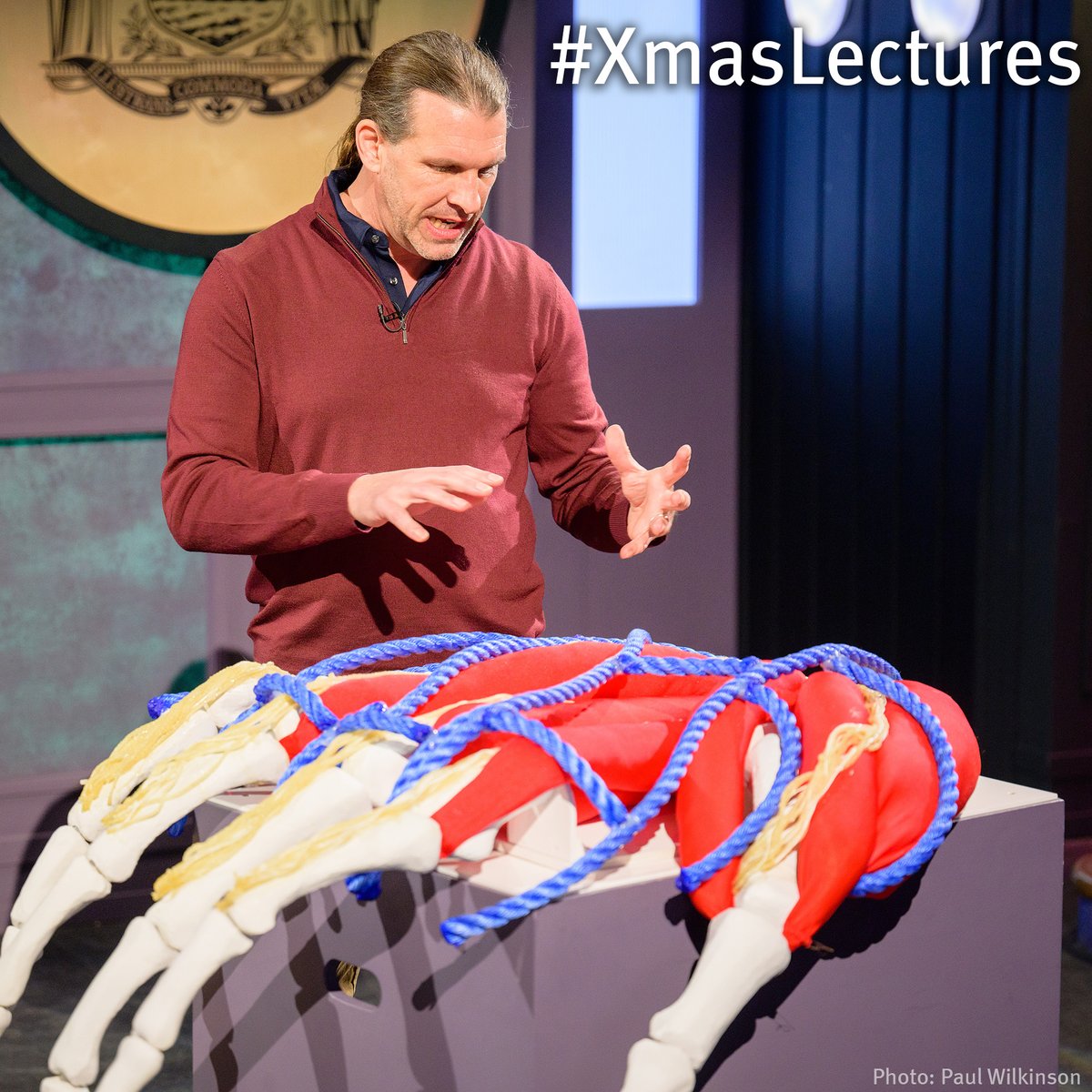 Did you know? The pattern of veins in our hands differs so much from person to person, some of those veins don't even have a name.

Huge thanks to Ricki Boswell-Challand from <a href="/LancasterUni/">Lancaster University</a> for giving us

*checks notes*

a hand 🙄 #XmasLectures