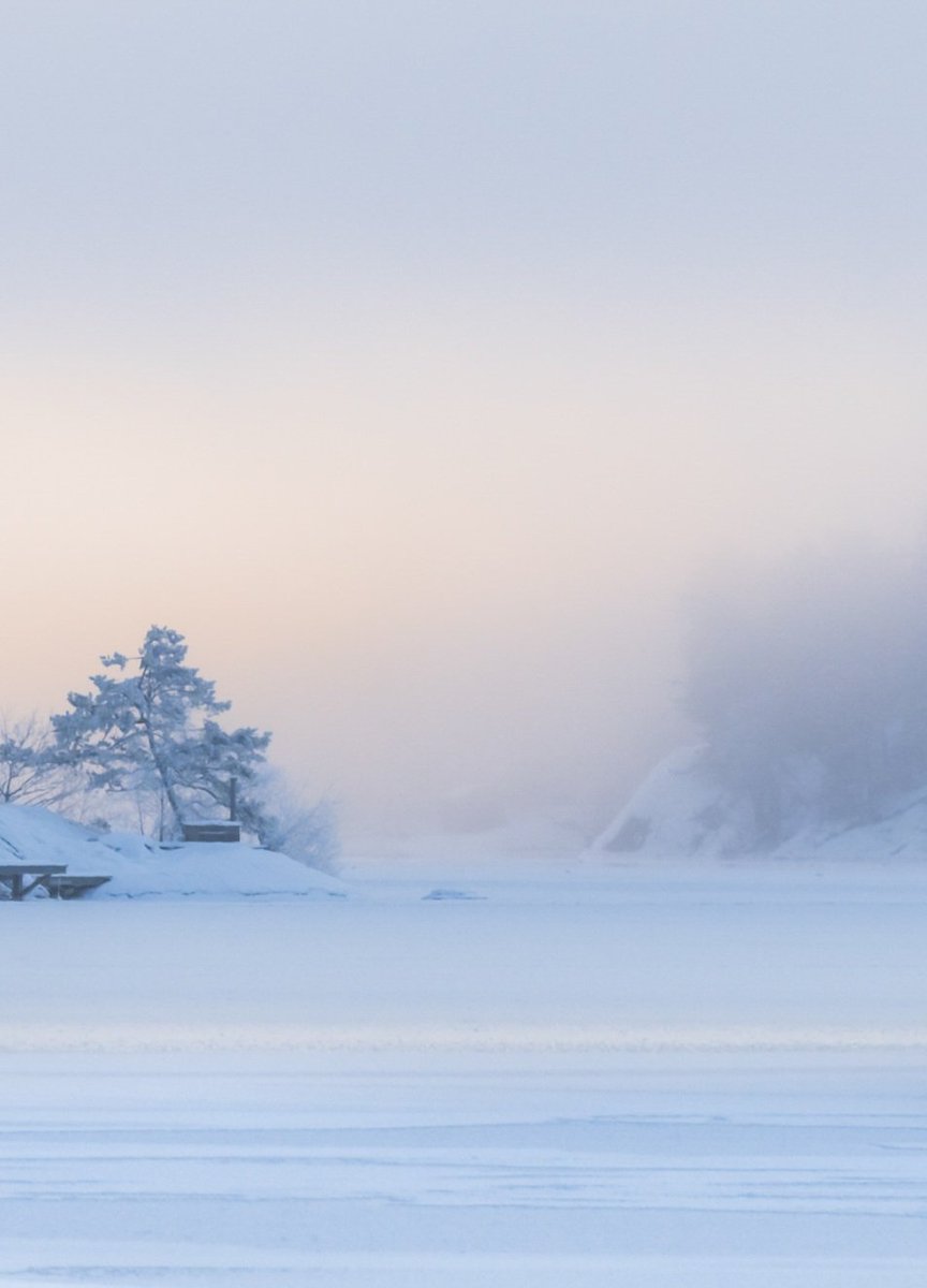 'Purity'
.
.
Shot at my local lake Magelungen in Farsta, Stockholm a couple of weeks ago. Taken just after sunrise when the sun started to wake and stir the fog, it slowly started to lift from the land creating a serene fairytale feeling to the scene 
<a href="/NikonEurope/">NikonEurope</a> Z7ii /20mm 1.8s