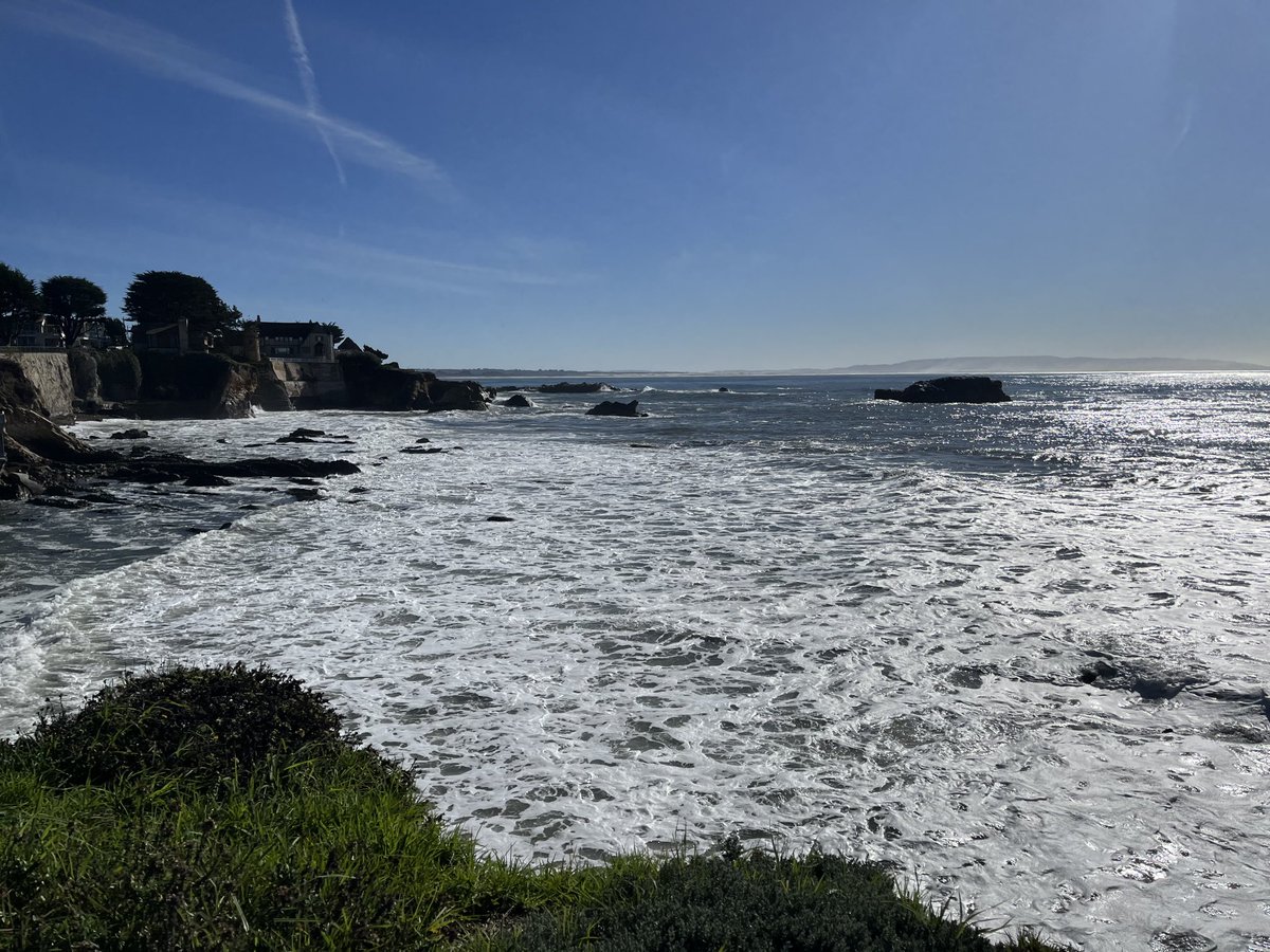 Diane Grondin tweet media