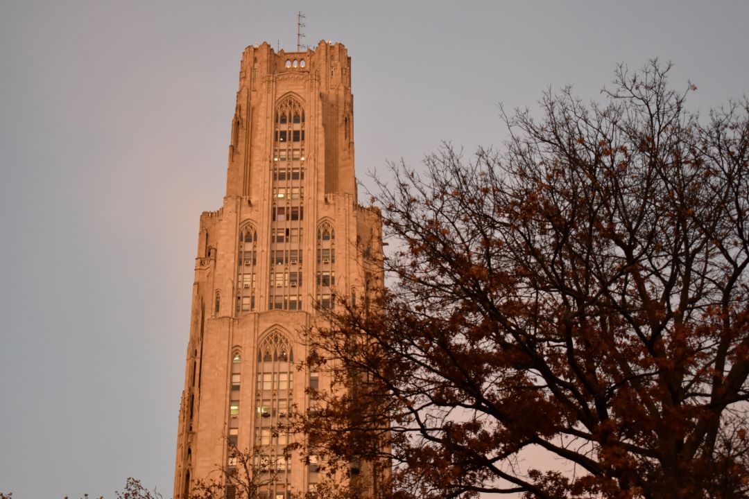 PittArrival's tweet photo. Don't mind us, just wanted to bless your feed today with some fall golden hour throwbacks.
#h2p #pitt #cathedraloflearning https://t.co/IoK3aQxFBc