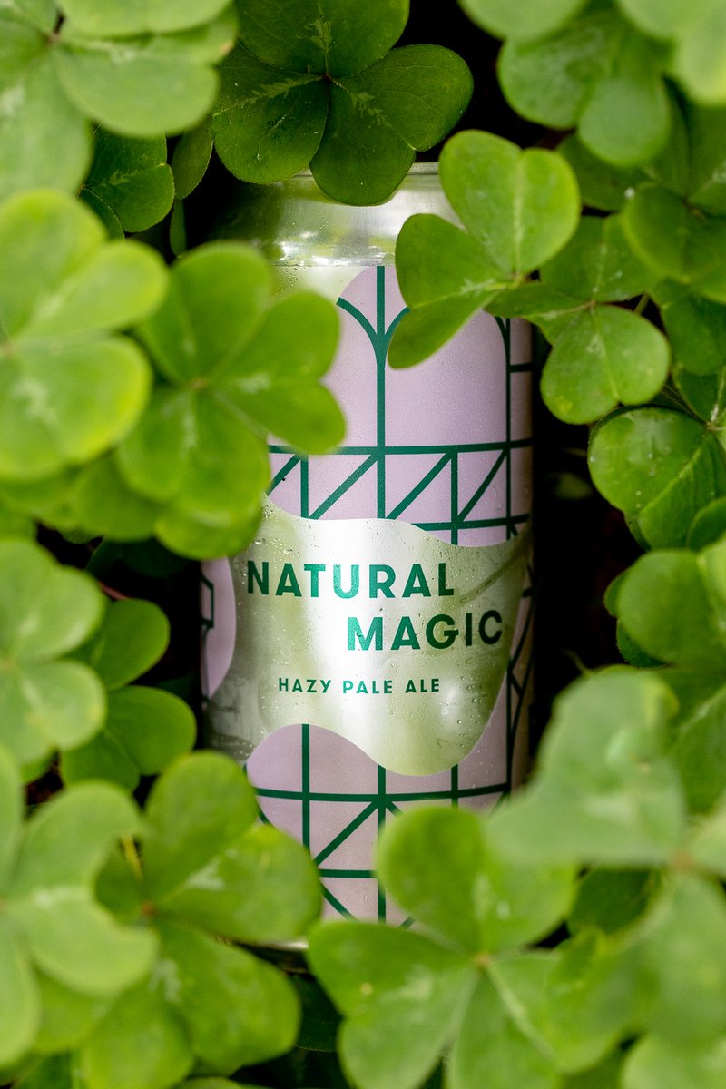 fortpointbeer's tweet photo. Natural Magic, our Hazy Pale Ale, is about to pull off a disappearing act. Stock up on this intensely hoppy, endlessly drinkable beer before it heads off to retirement, but save some room in your fridge: a new year-round Limite Beer is coming soon! 

https://t.co/SuThISqtRE https://t.co/axaVypIaaR