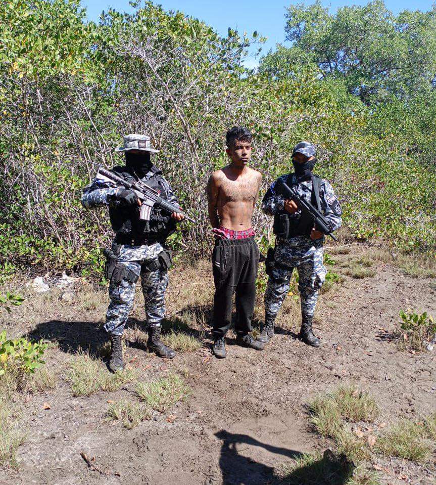 Enrique Araujo Villavicencio on Twitter "RT ErickBe57344037 Con el