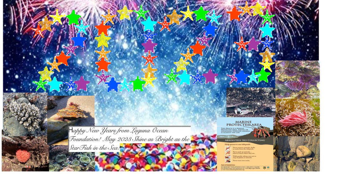 Laguna Ocean Fdn. (@lagunaoceanfdn) on Twitter photo 