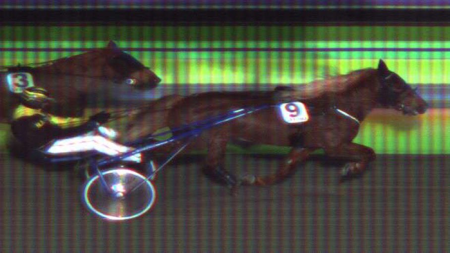 Ensimmäinen Vermon voitto Harlamoville. Yllättäen kutsutaan nimellä Valeri👍 Tämä pärjää jatkossakin.