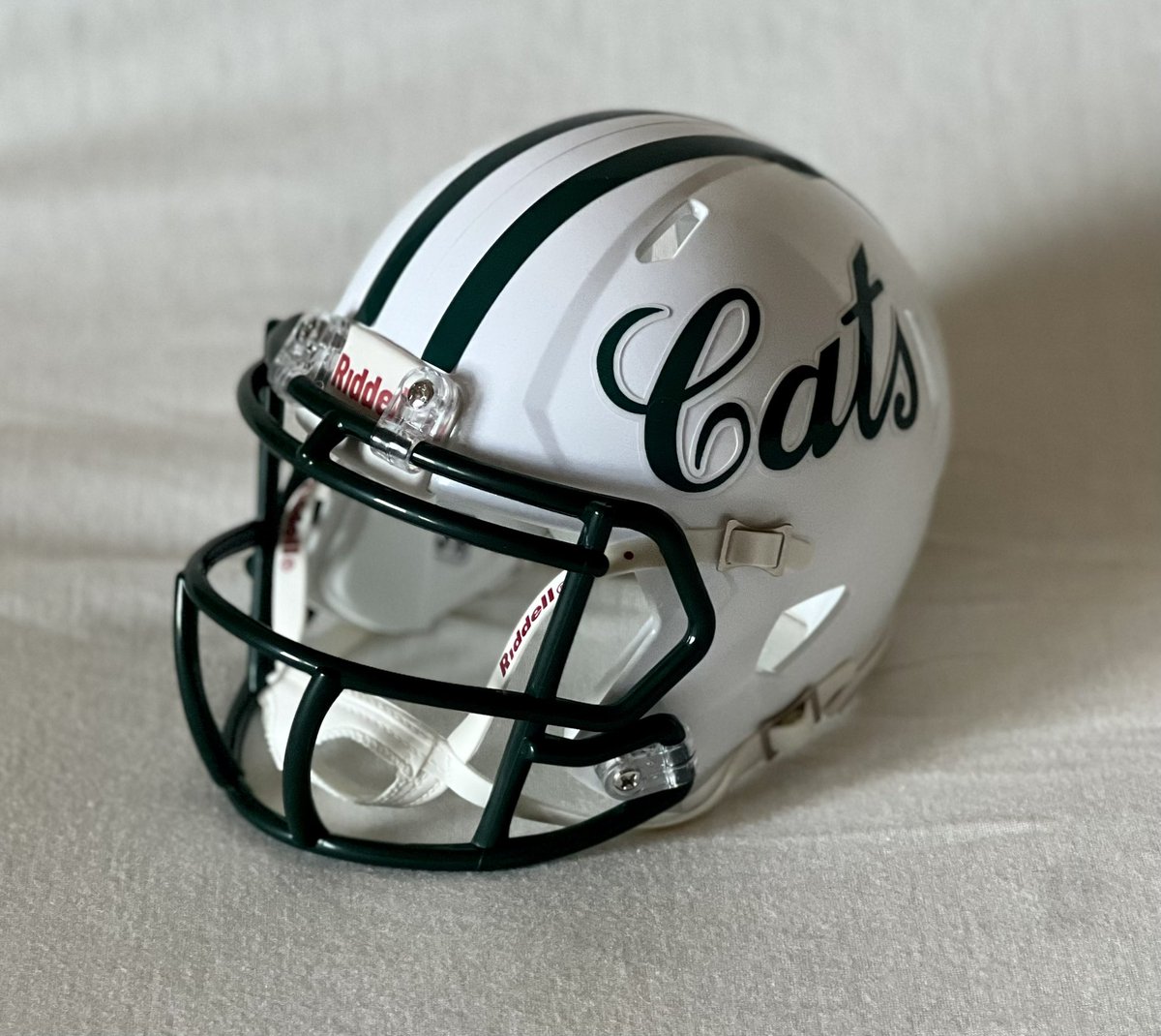 Had to make a new account. We had just hit the 1,000 follower mark, over 200 followers in the last 2 days. We lost access to DMs and anyone who messaged us! 

Contact us here for anyone who wanted helmets!

Help us get our new account back up and running! 

Please RT!!