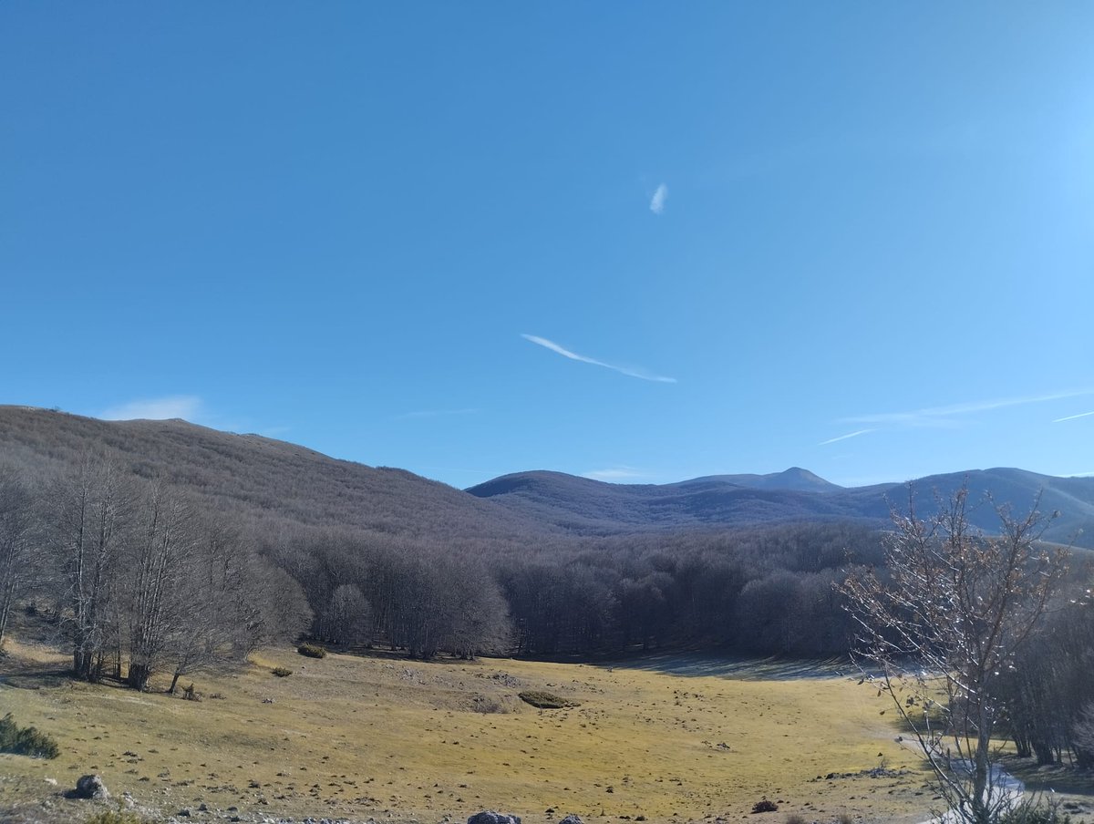 negar_rezaie's tweet photo. Another brick in the wall....
New paper Alert! We evaluated the interplay among ectomycorrhizas, ecosystem C fluxes, tree productivity and C and N isotopic fractionation in a Mediterranean beech forest. 
#Collelongo #Carbonallocation #soilplantinteraction
https://t.co/kBWcUCCMsR https://t.co/QRM08AIKLr