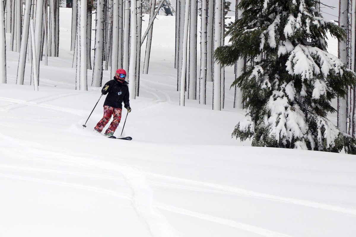 skilookout's tweet photo. 12-28 Fresh snow 7" to 9" made for an awesome POW day at Ski Lookout Pass.  If you didn't have fun today you were not trying very hard. More Snow in forecast. 
#SkiNWRockies #VisitMontana #18Winters #MontanaMoment #PNWSkiAndSnowboard #SkiIdaho #OptOutside #Powder #WeLoveWinter https://t.co/EeMSTwdzHR