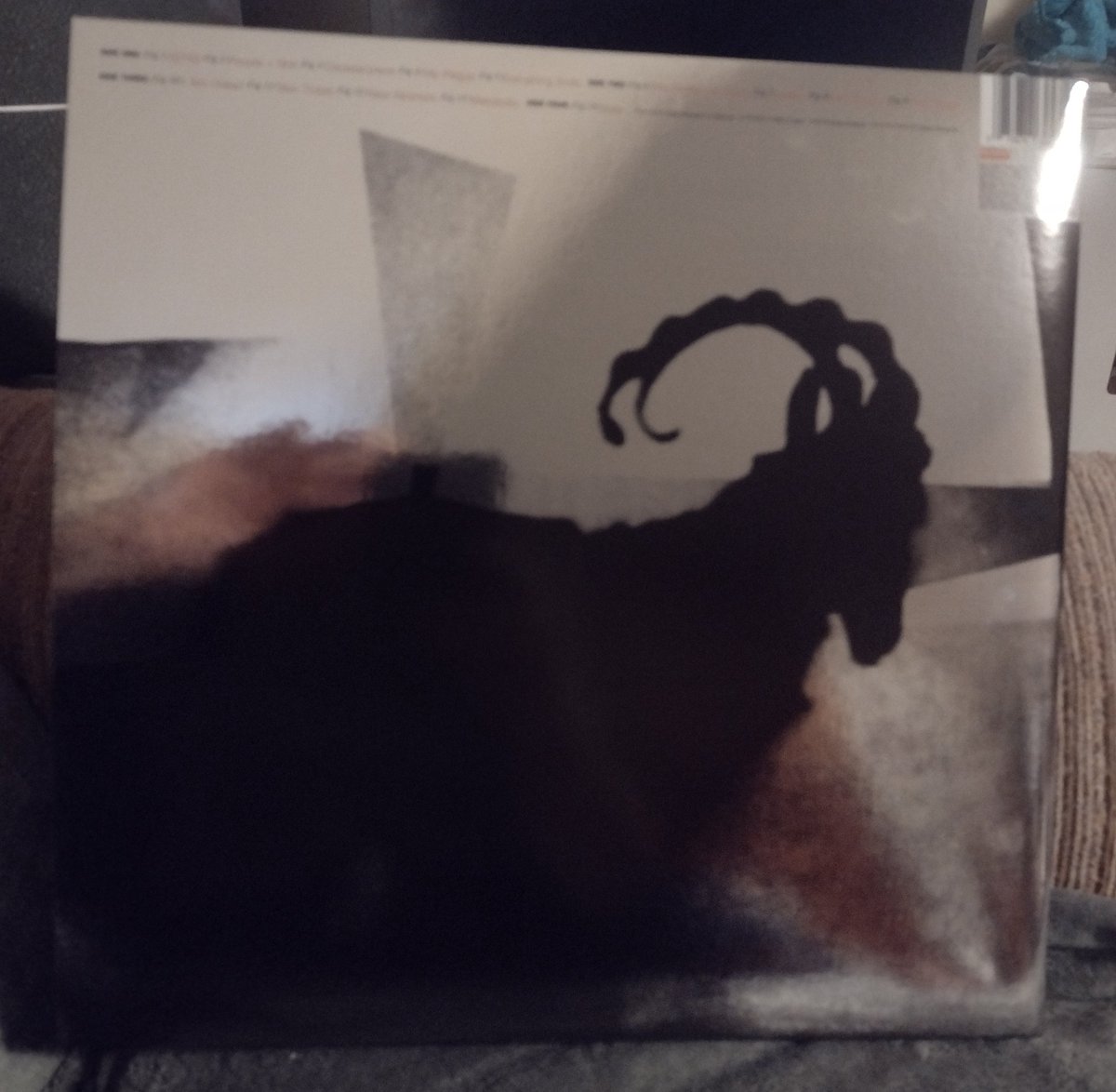 TwittyStreams's tweet photo. Best Christmas present ever! #TwittyStreams https://t.co/5ojeAjL1G3