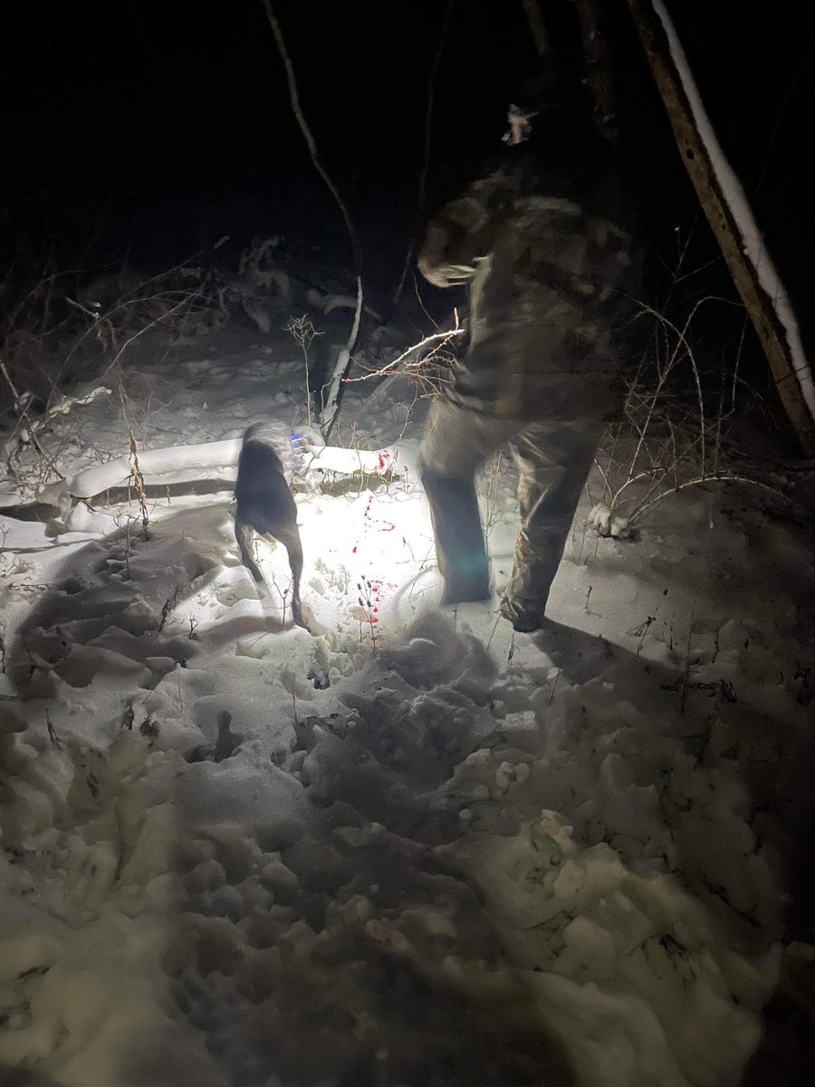 RugerTheGSP's tweet photo. Fun times tonight 🏹🦌🎯😎 https://t.co/lRMijYkTnp