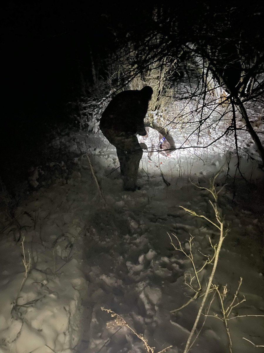 RugerTheGSP's tweet photo. Fun times tonight 🏹🦌🎯😎 https://t.co/lRMijYkTnp