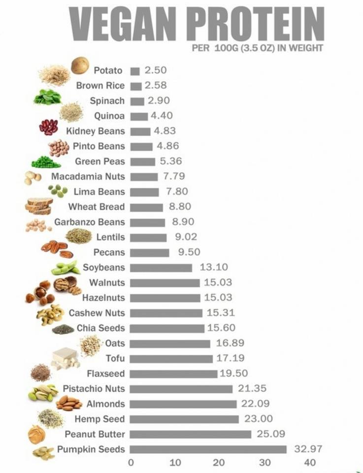 veganfuture's tweet photo. https://t.co/Jn18HlUJT8