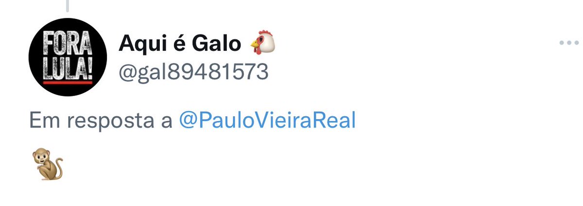 PAULO VIEIRA tweet media