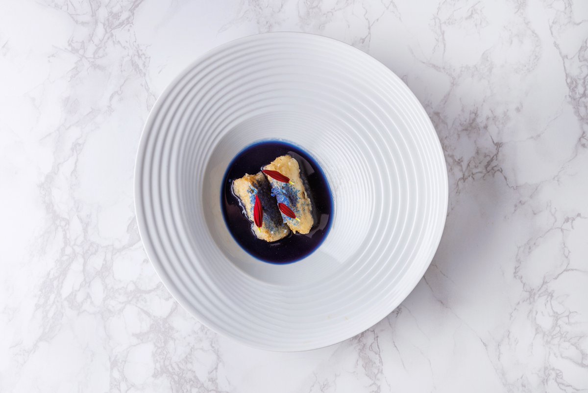 LoreaMx's tweet photo. Guiso Azul. En la escuela de cocina nos dijeron que no se debe preparar comida de color azul debido a que en la naturaleza no existe ingredientes de color azul 🤔... 

Caldo de pescados azules, hongos azules (lactarius indigo), flores azules, maíz azul y  espirulina azul. https://t.co/N2WdEqHSWx