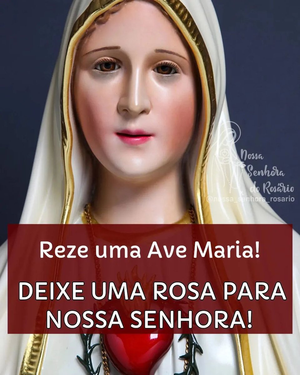 Nossa Senhora do Rosário tweet media