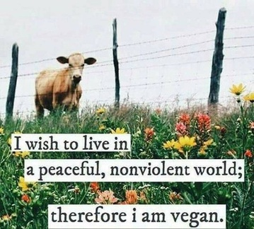 Vegan Future (@veganfuture) on Twitter photo 