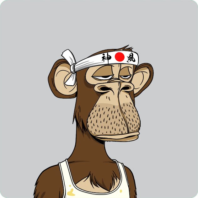 SHAKKABLOOD tweet media