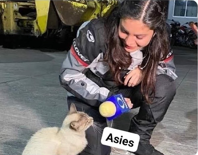 —disculpe, es verdad que le gusta el mambo?
