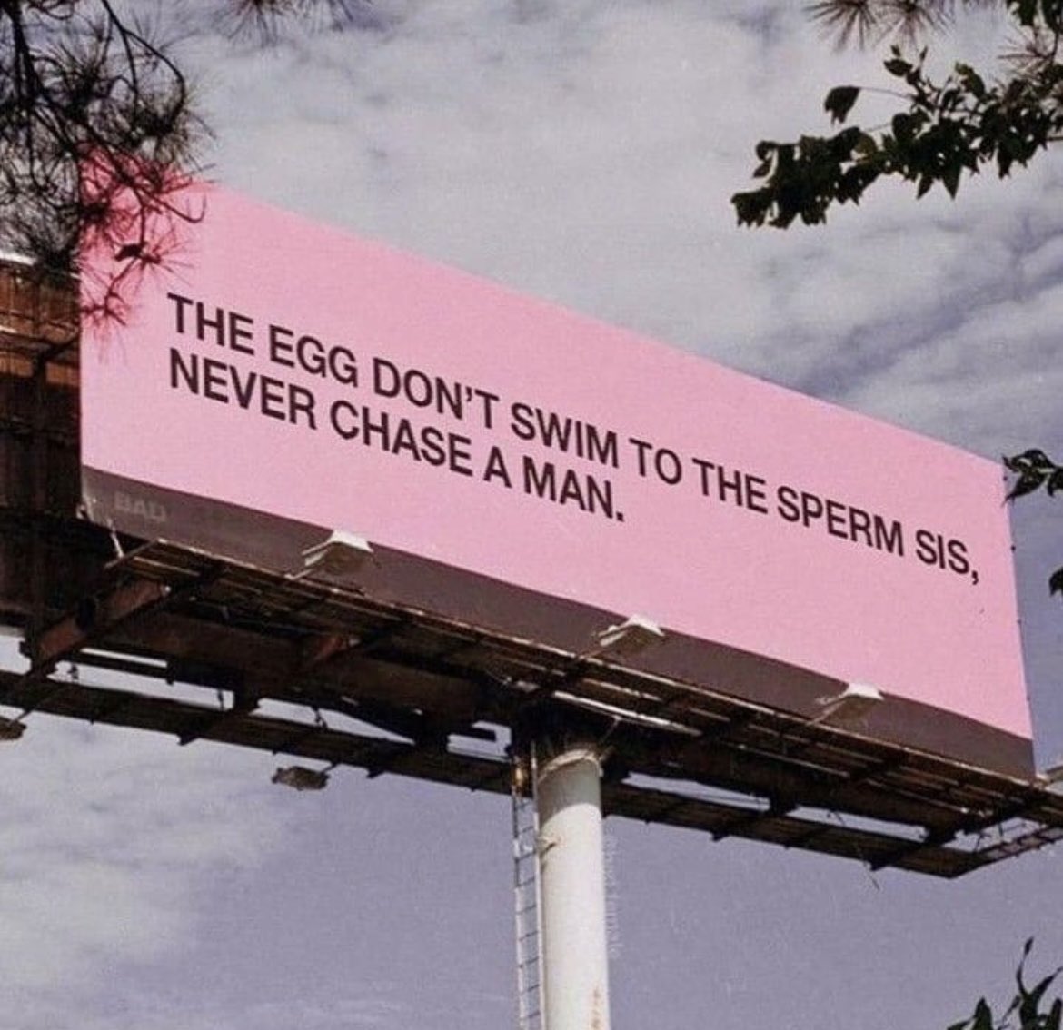 ✨ 𝓥𝓪𝓷𝓲𝓬𝓪 𝓢𝔂𝓶𝓸𝓷𝓮 ✨ tweet media