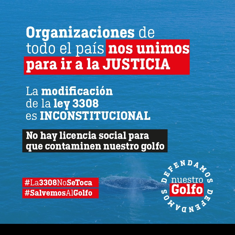 DJLazota's tweet photo. 🧵✍️Con gran alegría y entusiasmo, informo que las y los abogados ambientalistas que representan a las organizaciones nucleadas en "Defendamos Nuestro Golfo", dieron el primer paso en la justicia, al presentar el pedido de inconstitucionalidad de la modificación de la Ley 3308.👇 https://t.co/UnqTW1I1h1