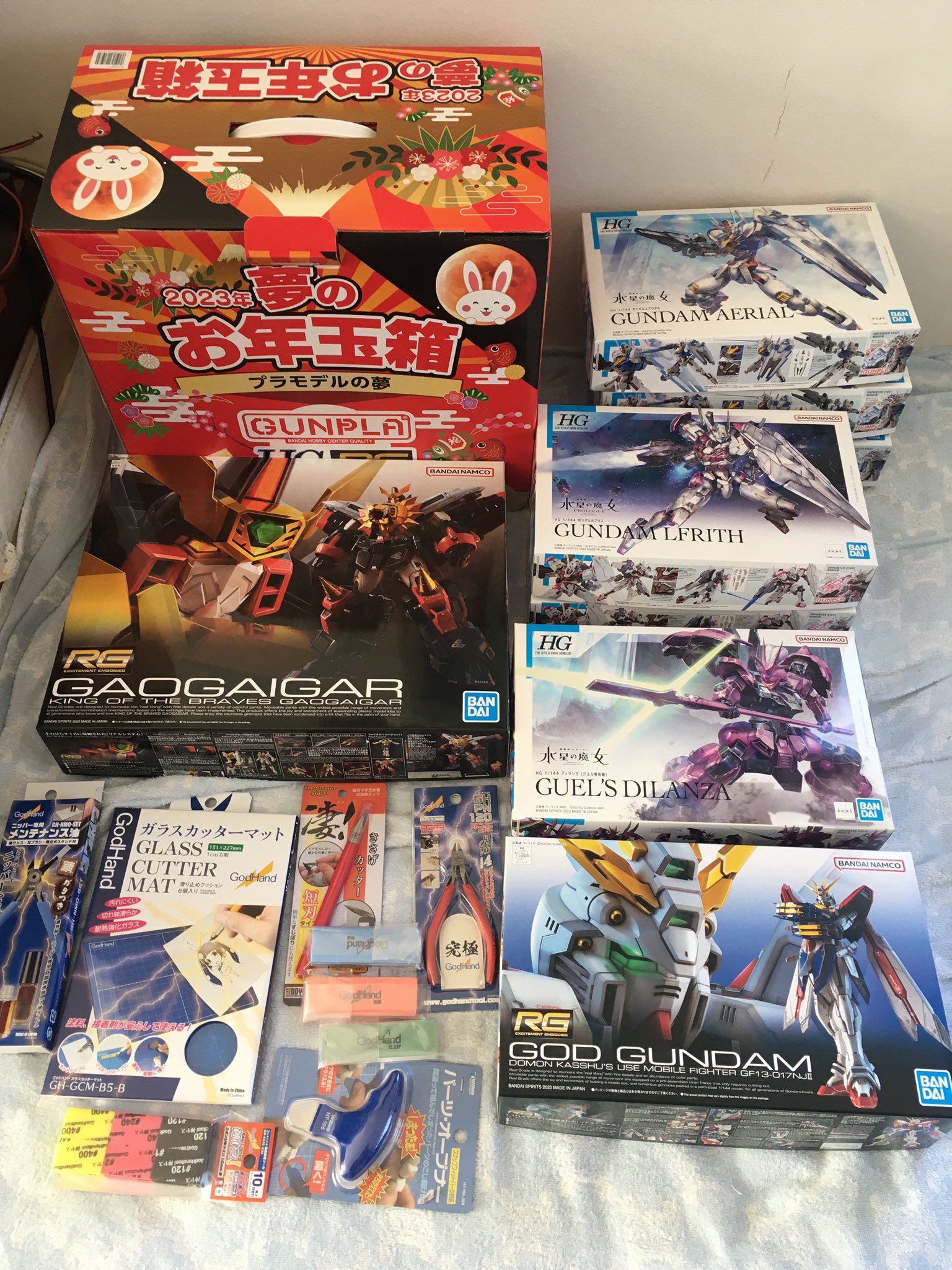新品未使用 2023ヨドバシカメラ福袋 プラモデルの夢 ガンプラ HG RG 新品未使用 2023ヨドバシカメラ福袋 プラモデルの夢 ガンプラ HG RG