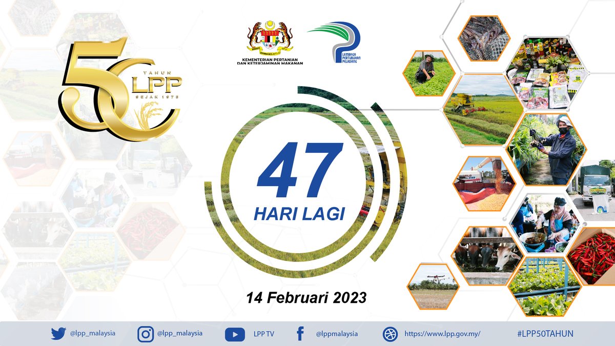LPP_MALAYSIA's tweet photo. Countdown to LPP50TAHUN‼️ 

📌14 Februari 2023

𝘾𝘼𝙏𝘼𝙏𝘼𝙉 𝘿𝘼𝙇𝘼𝙈 𝙈𝙀𝙉𝙐𝙅𝙐 14 𝙁𝙀𝘽 2023 #𝙇𝙋𝙋50𝙏𝘼𝙃𝙐𝙉
#LPPMalaysia
#LPP4farmers
#PerkasaPeladang
#KeluargaPeladang
#MAFSMalaysia
#sekuritimakananuntukmasadepan
#DemiPertiwi
#NadiRakyat
#LPP50Tahun https://t.co/a5Zrr6vYZy