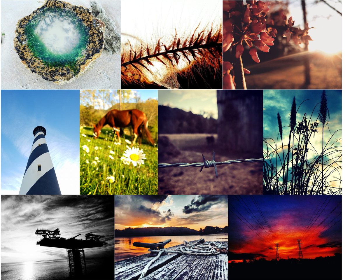 our next release will be 10 1 of 1 photos! After sell out, one of the holders will receive a canvas of their NFT!