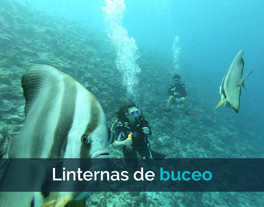 VidaBuceo's tweet photo. Las mejores linternas de buceo en 2022 https://t.co/vYOp44s2gW https://t.co/gZ98yao51g