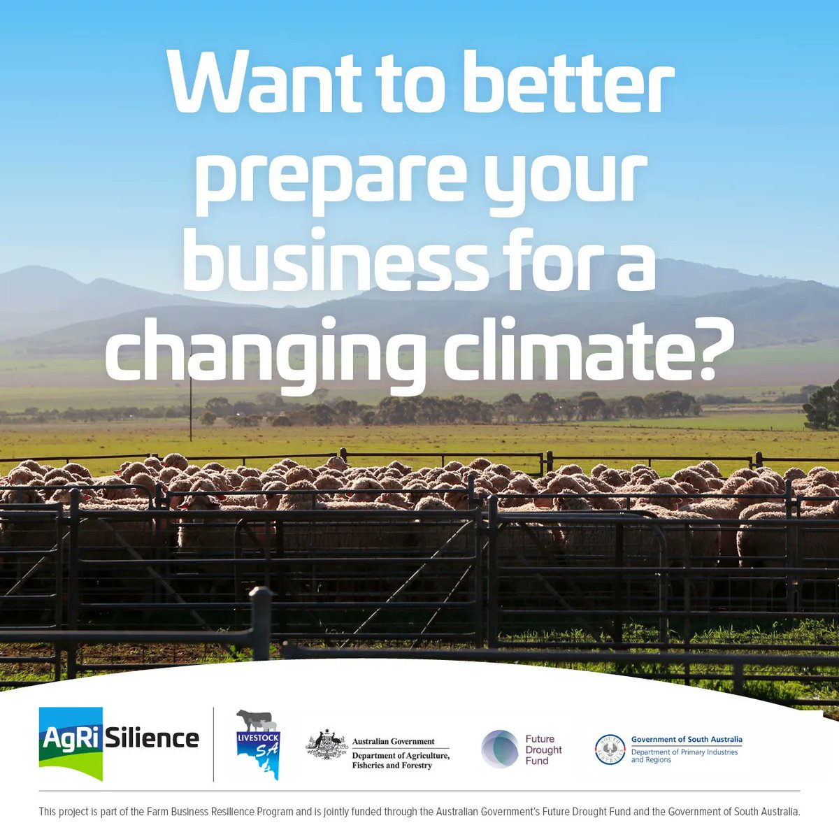 Livestock SA tweet media