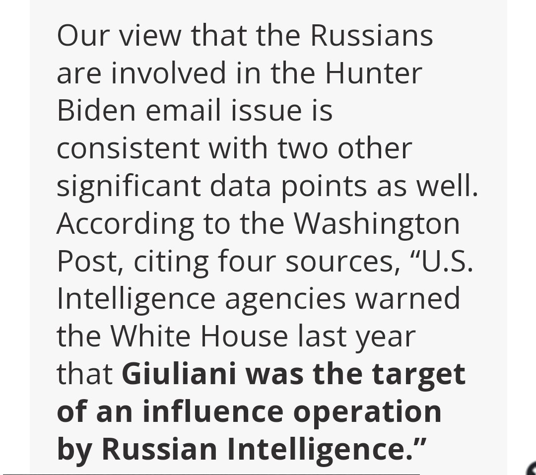MaryWebb7's tweet photo. #TheHunterCard #OnlyPubsAttackedTheirOwnCountry #PushesRussianPropaganda https://t.co/k5kXjIIkJq