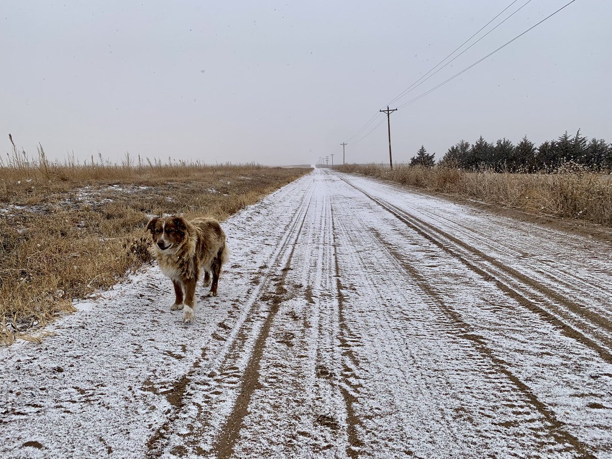 Jonathan Beverly tweet media