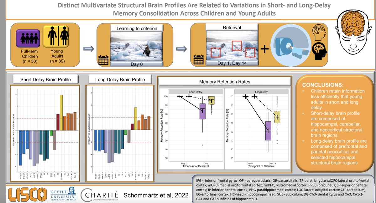 IraSchommartz's tweet photo. Such a nice gift at the end of this turbulent year! 🎅🎉🎁 Check out our newest paper https://t.co/X8FweOh36q on the relation of distinct structural brain profiles to variations in short- and long-delay memory consolidation published by @ELSneuroscience 

@YeeLeeShing1 @SFB1315 https://t.co/4fr3C9BYpM
