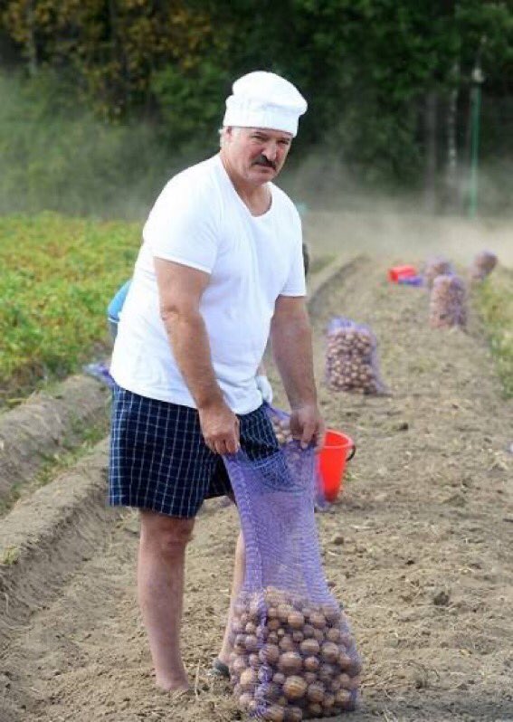 kokel09's tweet photo. Alternative scenario [Thread]

What if, Putin and Lukashenko created "Bunker King", a brand new Russian fast food brand, to show the world, instead of war, food is made successfully! https://t.co/xR9XMjgQjs