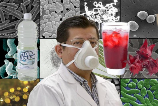 Redsyca's tweet photo. #OrgulloMexicano: Jamaica elimina más bacterias que el cloro. https://t.co/a57sUoBJKF https://t.co/MxRdxwbmeJ