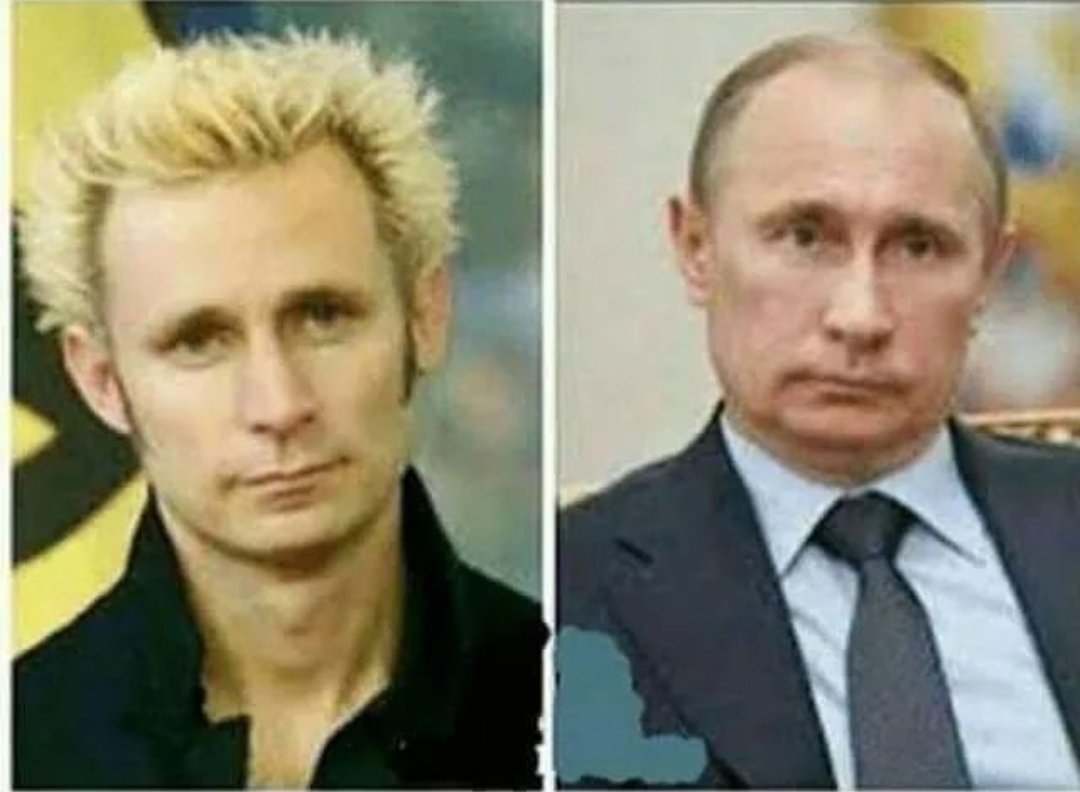ChrisWardSEO's tweet photo. Remember Mike Dirnt from Green Day? Feel old yet?!?! https://t.co/uT6huBZLXO