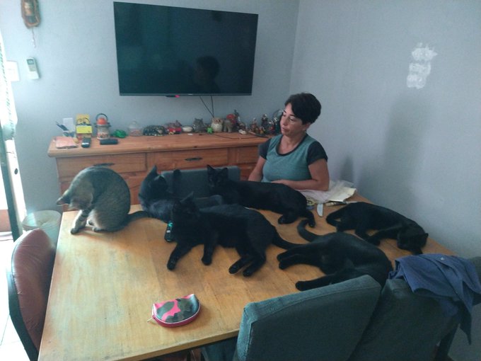 Mi vieja y los pipis 🇦🇷💜 https://t.co/hcfcCwuGMq