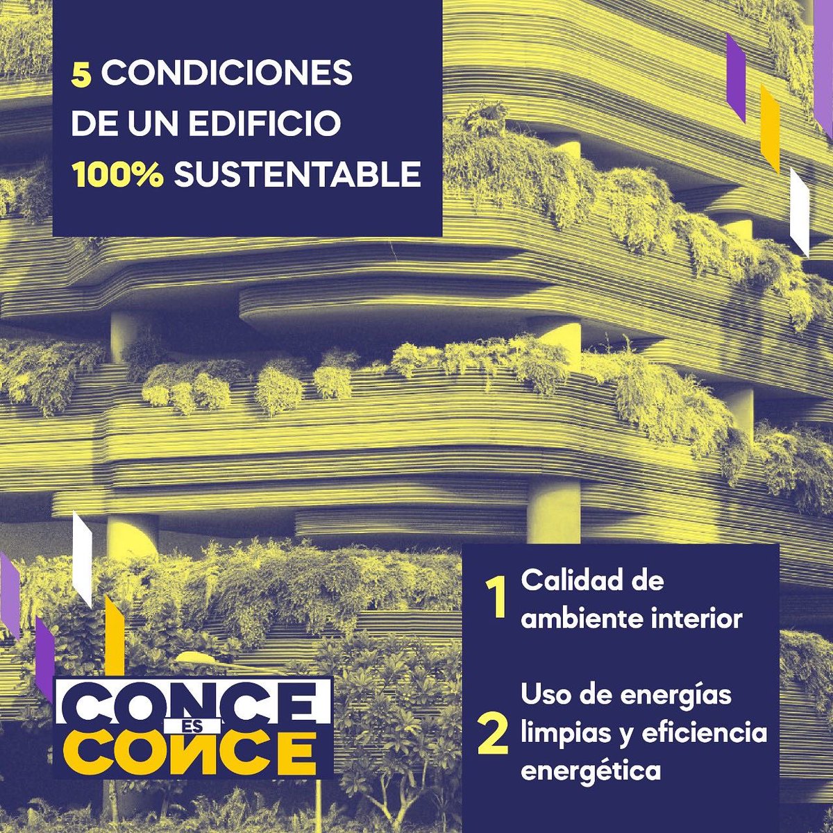 conceesconce's tweet photo. Hace un tiempo te contamos que en #Conce hay un edificio que tiene un muro verde, que estos muros son muy útiles para reducir la temperatura🌡️ , la polución 💨 e incluso el ruido de la ciudad 🏙️.

❇️Soñemos con una ciudad sustentable❇️

¿Te imaginas #Conce con estos edificios? https://t.co/c4uiHUSk4P