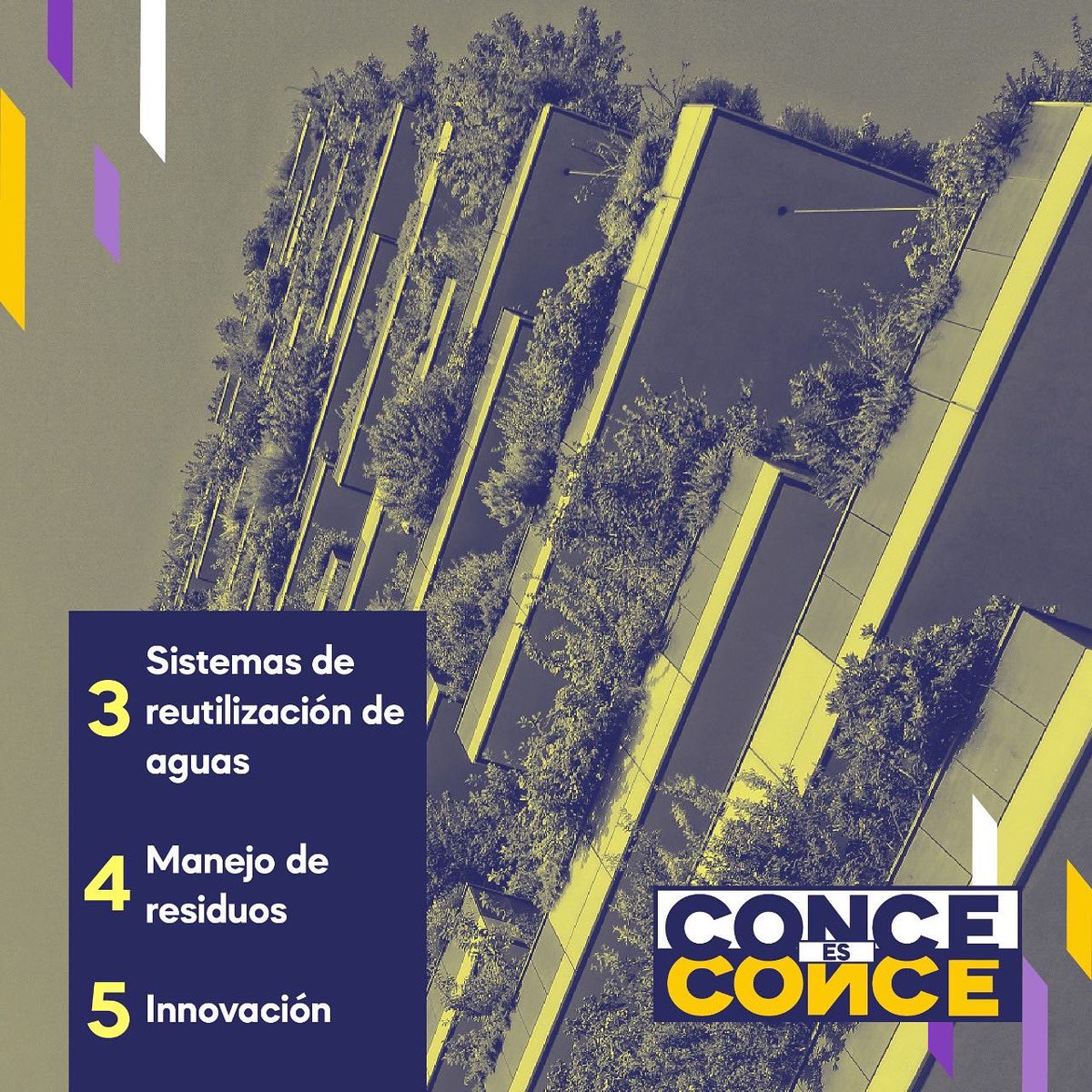 conceesconce's tweet photo. Hace un tiempo te contamos que en #Conce hay un edificio que tiene un muro verde, que estos muros son muy útiles para reducir la temperatura🌡️ , la polución 💨 e incluso el ruido de la ciudad 🏙️.

❇️Soñemos con una ciudad sustentable❇️

¿Te imaginas #Conce con estos edificios? https://t.co/c4uiHUSk4P