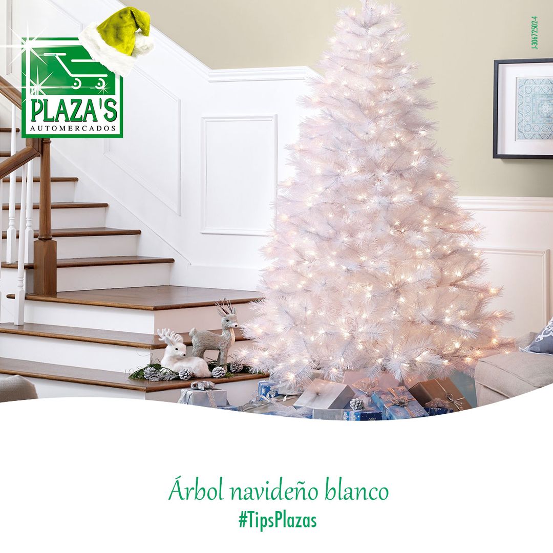 elplazas's tweet photo. Árbol navideño blanco

El árbol navideño tradicional es verde, pero si lo escoges blanco sentirás un toque diferente y de luminosidad en tu hogar, puedes combinarlo con luces y adornos de cualquier color.

#TipsPlazas https://t.co/f3aYs0Eod3