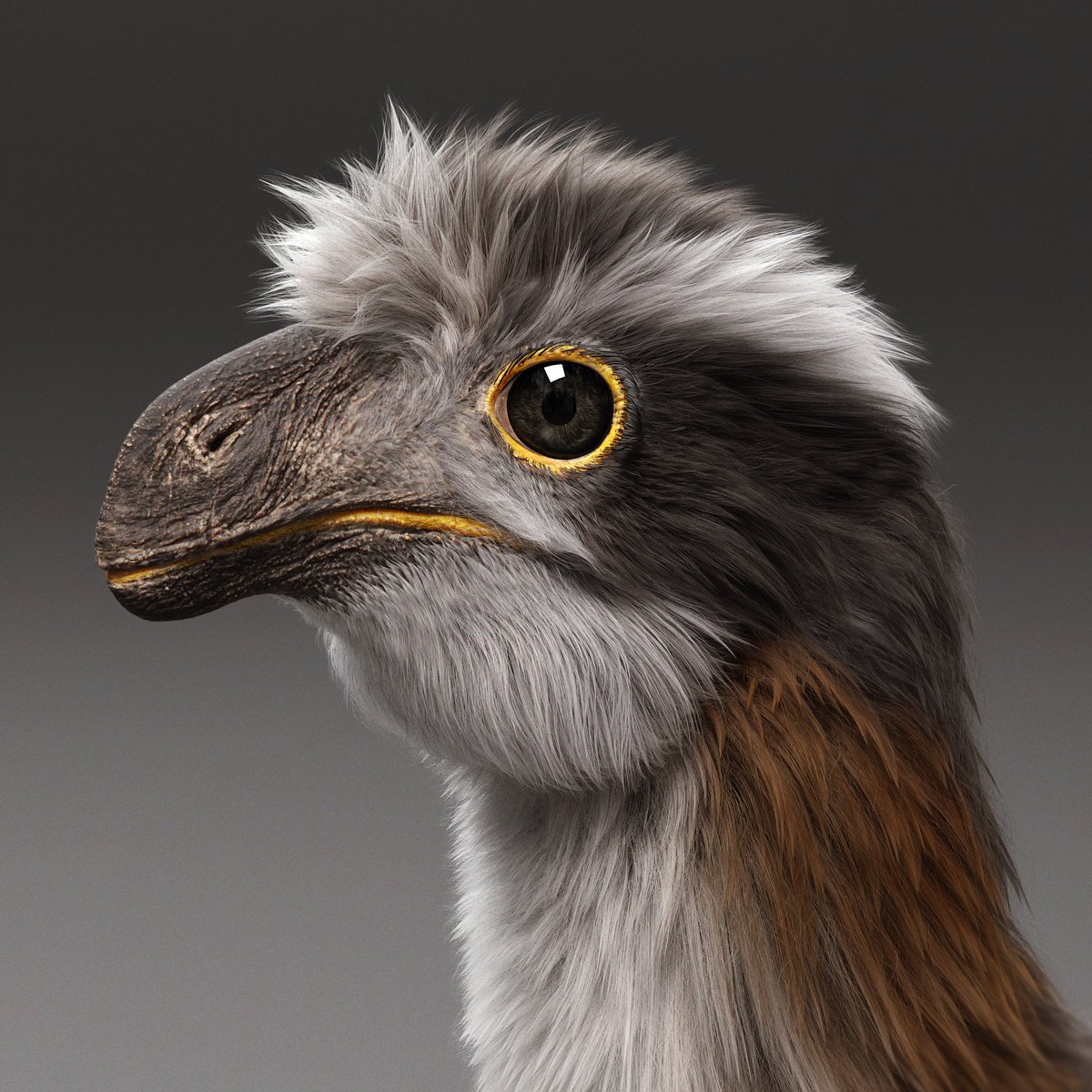 JoannaKobierska's tweet image. What even is this animal? Yi qi everyone!